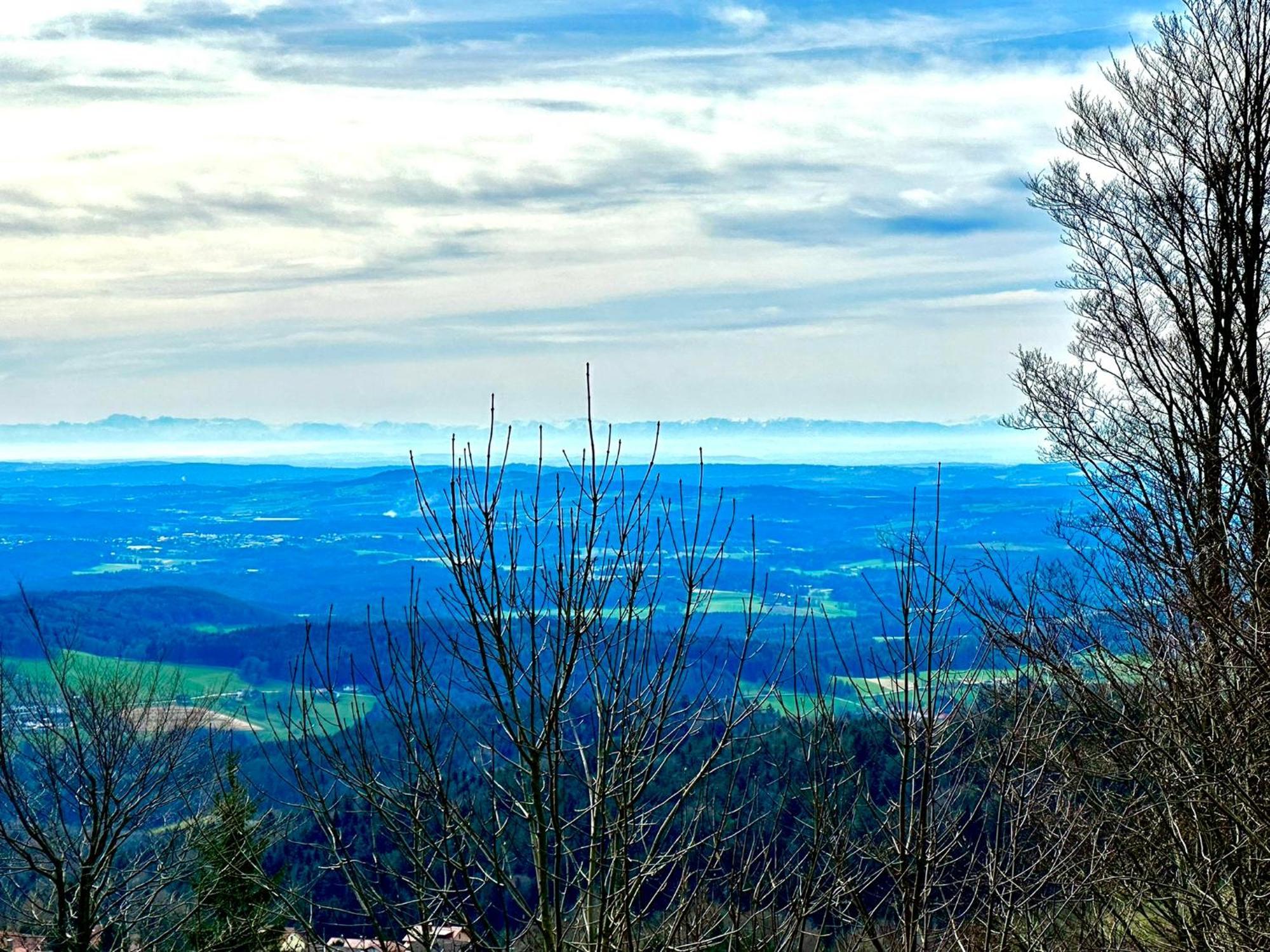 Gemuetliches Alpenblick Berg-Bungalow + Grosser Garten + Netflix! Schöfweg Exteriér fotografie