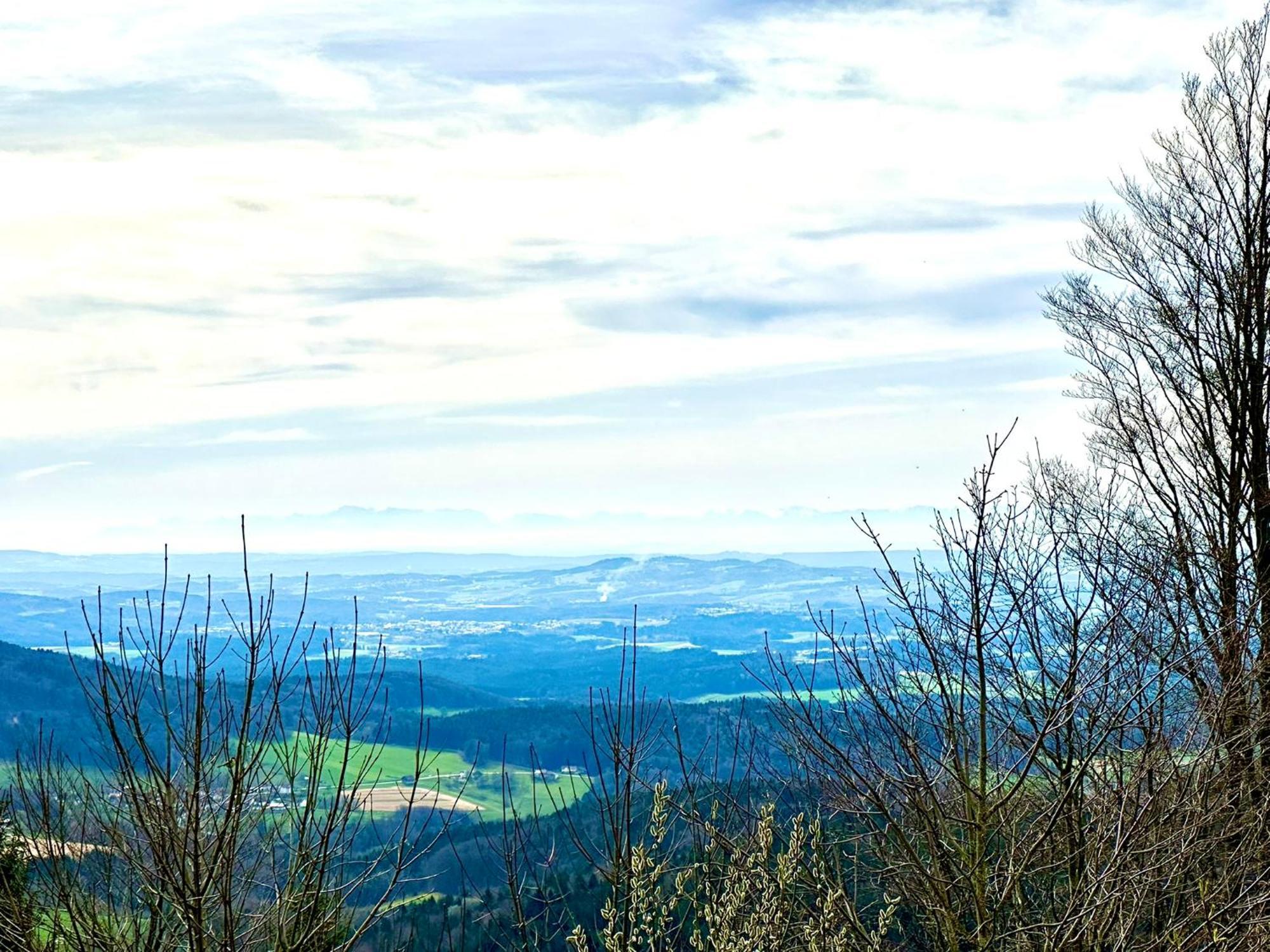 Gemuetliches Alpenblick Berg-Bungalow + Grosser Garten + Netflix! Schöfweg Exteriér fotografie