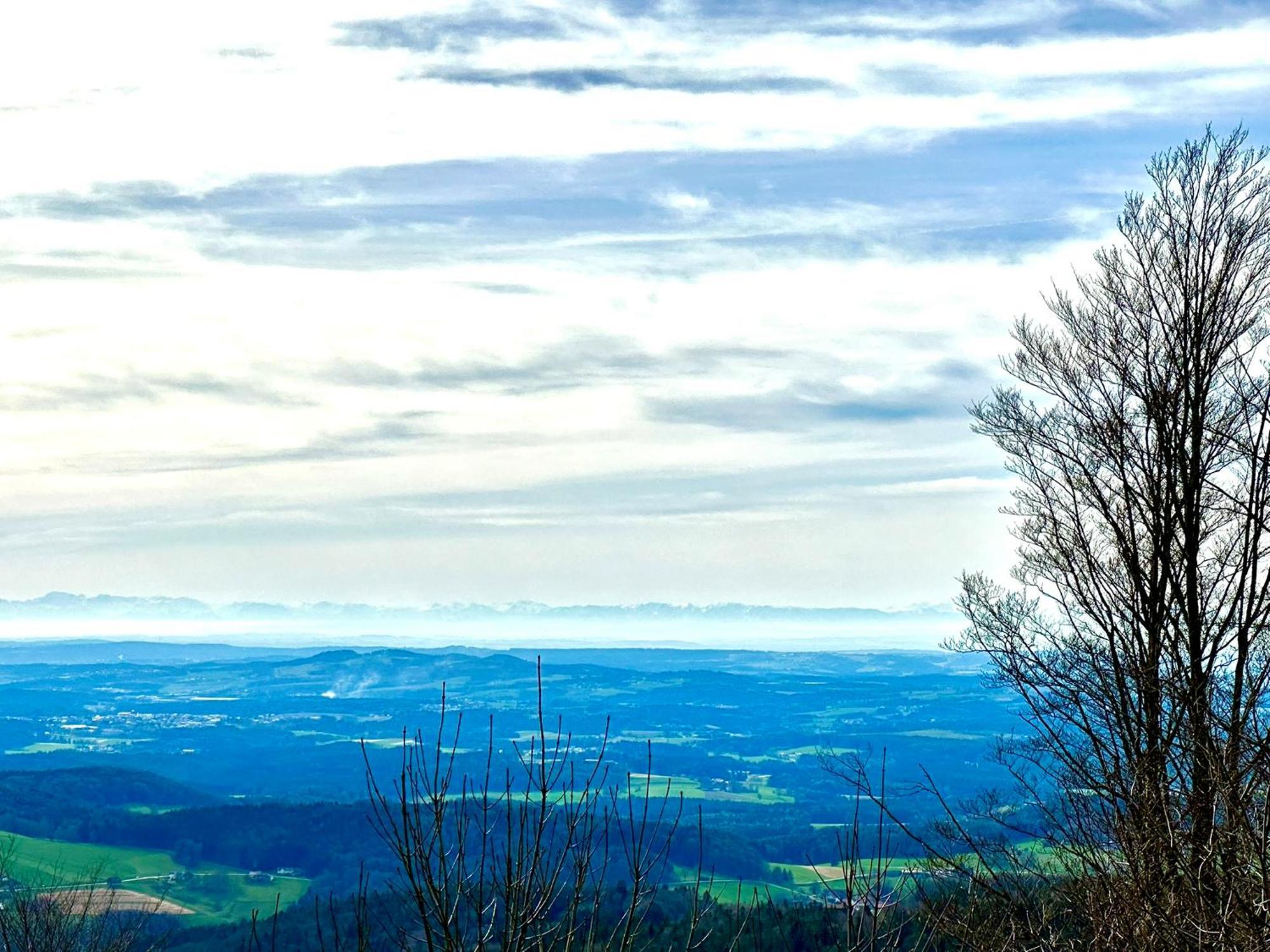 Gemuetliches Alpenblick Berg-Bungalow + Grosser Garten + Netflix! Schöfweg Exteriér fotografie